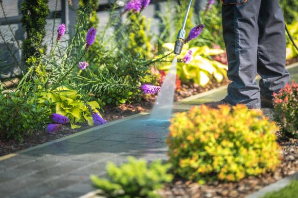 Best Parking Lot and Garage Cleaning  in Marillo, CA
